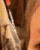 hihim