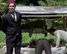 kuyu